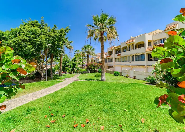 Ocean Breeze Callao Salvaje